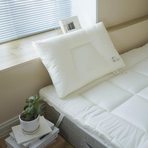 【中文原棉烫画分区枕】超柔烫画枕芯出口原棉酒店蓬松分区成人儿童学生酒店枕 商品图10