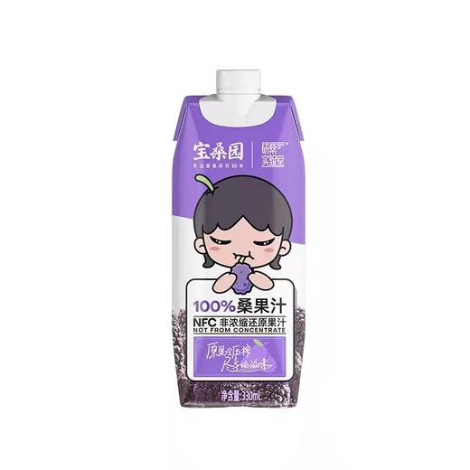 宝桑园100%桑果汁 商品图4