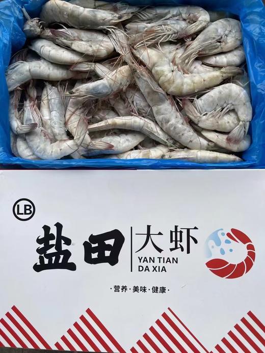 31-40盐田大虾1.2千克 商品图3