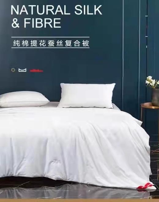 梦洁纯棉提花纤维蚕丝复合四季被 光芒 商品图0