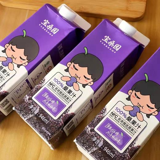 宝桑园100%桑果汁 商品图5