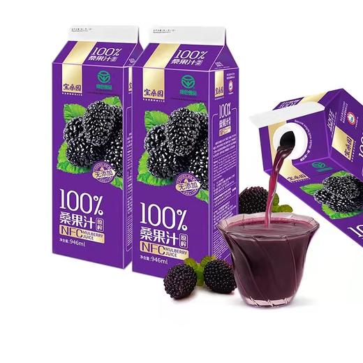 宝桑园100%桑果汁 商品图7