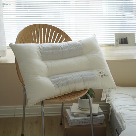 【中文原棉烫画荞麦枕】超柔烫画枕芯原棉酒店蓬松荞麦决明子酒店枕 商品图3