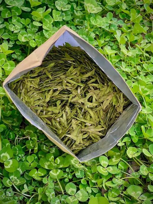 龙井茶 品味头采精选   250g  茶叶 商品图1