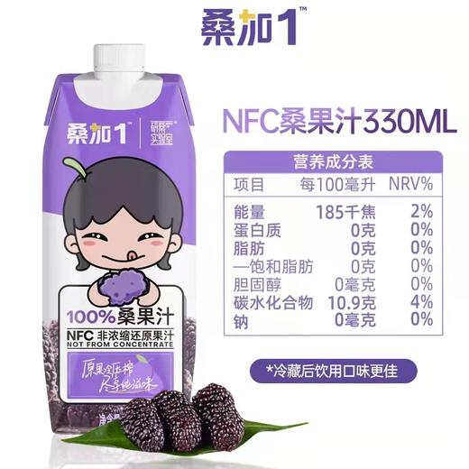 宝桑园100%桑果汁 商品图1