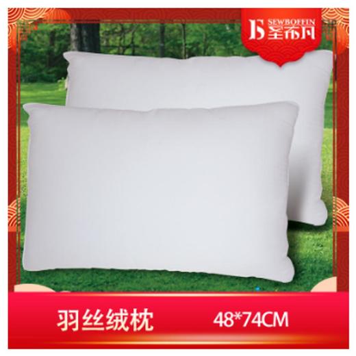 南5楼圣布羽丝绒枕 商品图0