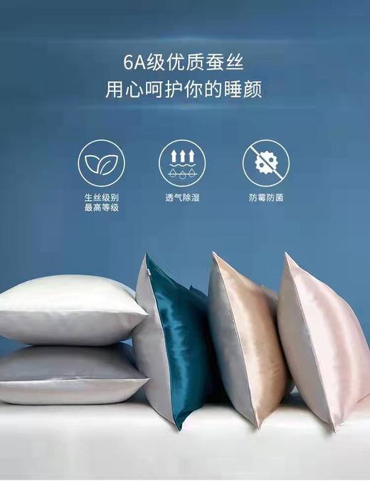 梦洁  真丝枕套 商品图0