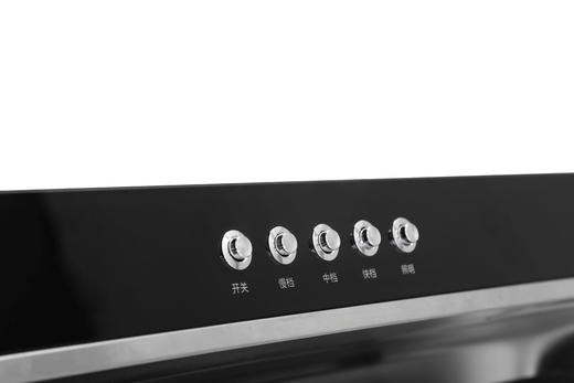 前锋吸油烟机CXW-218-E413 商品图3