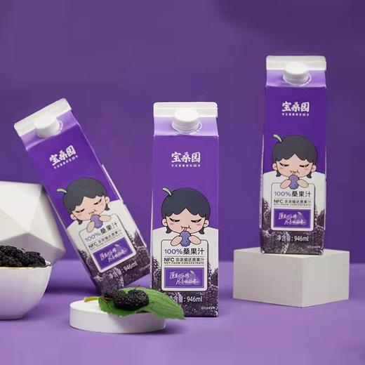 宝桑园100%桑果汁 商品图6