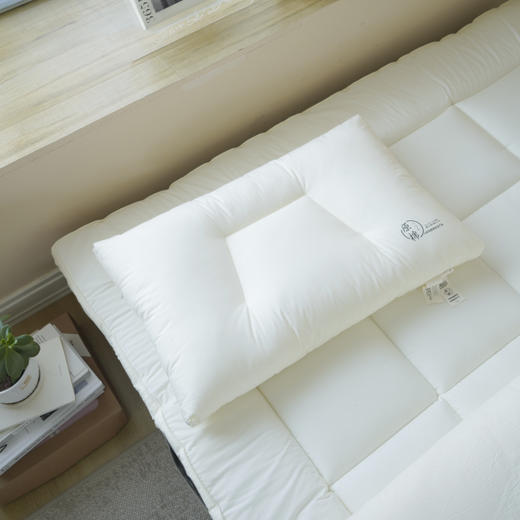 【中文原棉烫画分区枕】超柔烫画枕芯出口原棉酒店蓬松分区成人儿童学生酒店枕 商品图9