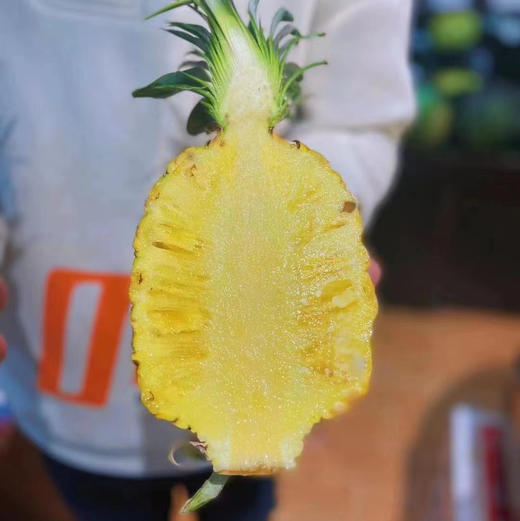 海南金钻树熟凤梨 商品图11