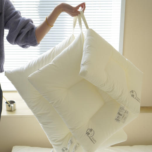 【中文原棉烫画分区枕】超柔烫画枕芯出口原棉酒店蓬松分区成人儿童学生酒店枕 商品图0