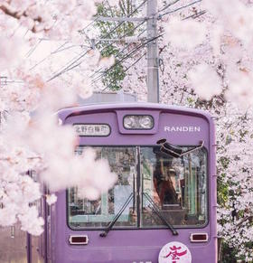 “成熟起来再恋爱”