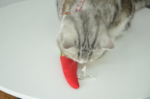 猫研所 猫咪自嗨猫薄荷填充耐咬解闷玩具  多款可选 100%天然植物填充 商品图3