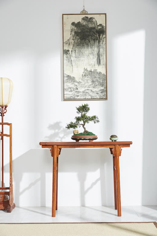 红桥红  家具严选  缅甸花梨（大果紫檀）【98 云熙 平头案】 商品图1