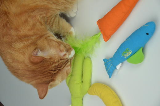 猫研所 猫咪自嗨猫薄荷填充耐咬解闷玩具  多款可选 100%天然植物填充 商品图4