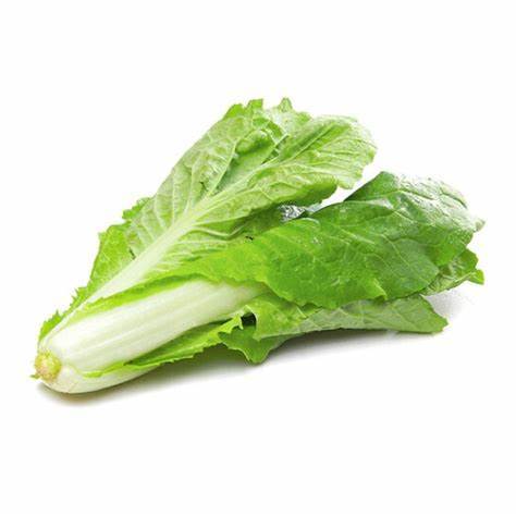 [蔬菜4合1]茼蒿·油麦菜·杭白菜·生菜各500g/份【021】 商品图4