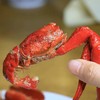 湖北潜江 现做堂食版油闷/蒜蓉/鱼香小龙虾1250克顺丰包邮 商品缩略图4