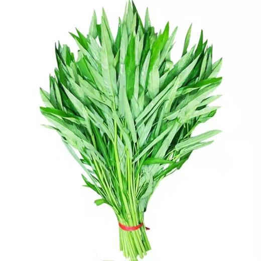 空心菜 商品图0