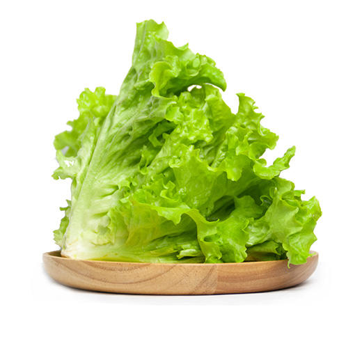 [蔬菜4合1]茼蒿·油麦菜·杭白菜·生菜各500g/份【021】 商品图3