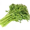 茼蒿 商品缩略图0