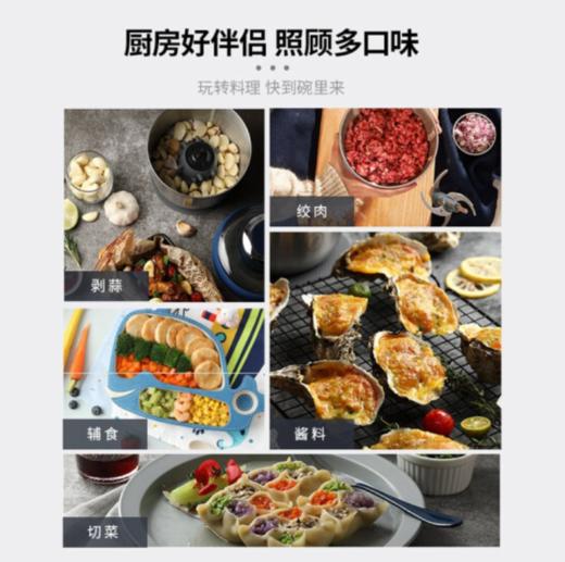 摩飞绞肉机家用自动料理机打碎肉辣椒小型大功率电动迷你多功能婴儿辅食机304不锈钢MR9401A 轻奢蓝 商品图1