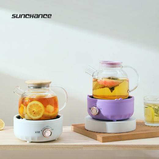 【多功能养生壶】家用小型煮茶壶10分钟速热 宿舍办公玻璃花茶壶电陶炉煮茶器 商品图3