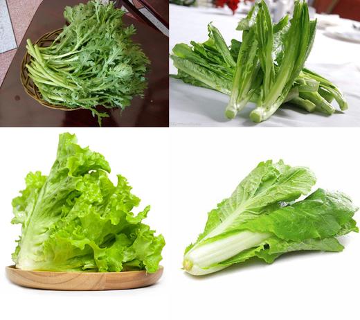 [蔬菜4合1]茼蒿·油麦菜·杭白菜·生菜各500g/份【021】 商品图0