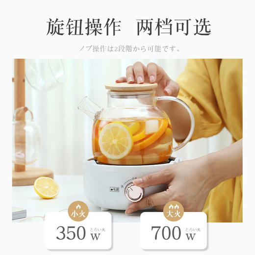 【多功能养生壶】家用小型煮茶壶10分钟速热 宿舍办公玻璃花茶壶电陶炉煮茶器 商品图2