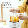 【多功能养生壶】家用小型煮茶壶10分钟速热 宿舍办公玻璃花茶壶电陶炉煮茶器 商品缩略图0