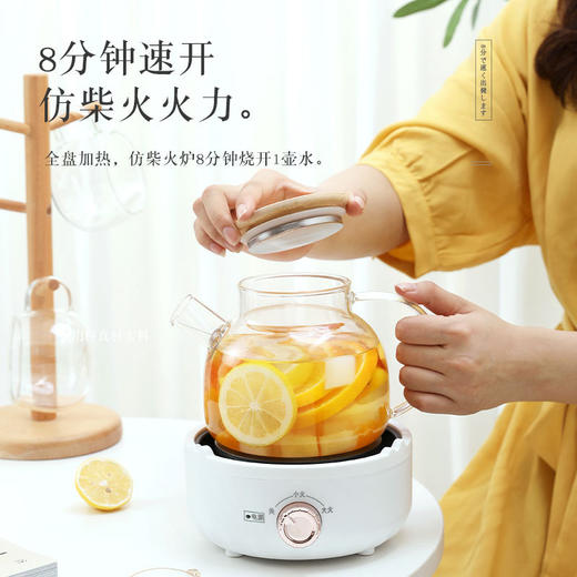 【多功能养生壶】家用小型煮茶壶10分钟速热 宿舍办公玻璃花茶壶电陶炉煮茶器 商品图0