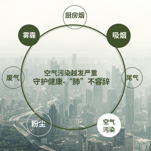 【咽炎克星清肺神器】日本森田清幽肺部槲皮素紫苏籽枇杷叶罗汉果复合片 商品图1