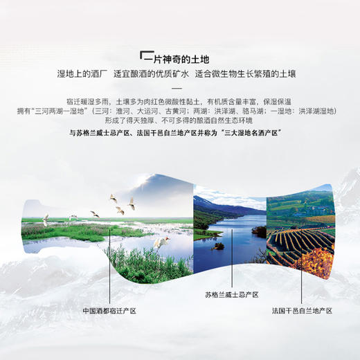 洋河天之蓝-42度-绵柔型480ml-礼盒装纯粮食白酒 商品图4