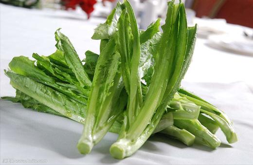 [蔬菜4合1]茼蒿·油麦菜·杭白菜·生菜各500g/份【021】 商品图2