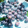 『云南抚仙湖蓝莓』优瑞卡蓝莓，细嫩爽口，富含花青素 商品缩略图6