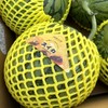 知冬农业冰淇淋黄肉西瓜 商品缩略图0