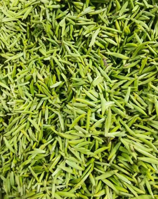 洞庭山碧螺春茶 商品图3