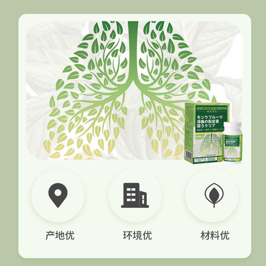 【咽炎克星清肺神器】日本森田清幽肺部槲皮素紫苏籽枇杷叶罗汉果复合片 商品图3