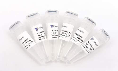 HiScript® III 1st Strand cDNA Synthesis Kit (+gDNA wiper) 商品图0