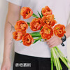 精品花材香橙挞重瓣郁金香9支 商品缩略图4