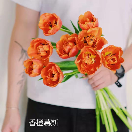 精品花材香橙挞重瓣郁金香9支 商品图4