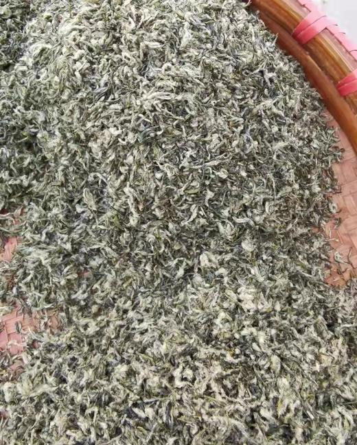 洞庭山碧螺春茶 商品图5