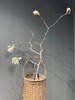 竹编提梁直筒式花器，顺丰包邮 商品缩略图3