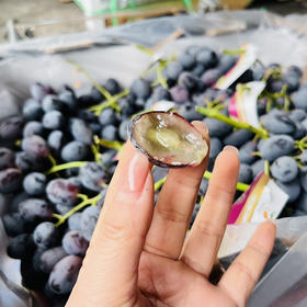 【浓香塞蜜甜】澳大利亚神秘梦境黑提