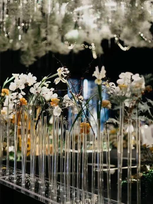 24头柚蜜路引（运费自理） 商品图2