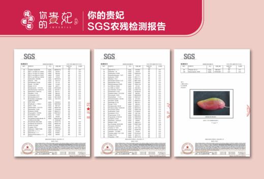 吃海芒芒 海南三亚   树上熟 贵妃芒 商品图7