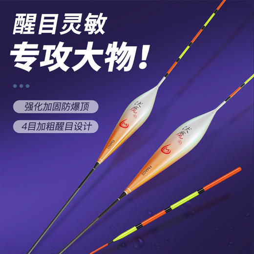 佳钓尼大物鱼漂鲢鳙浮钓专用高灵敏纳米浮漂超醒目远投加粗矶钓漂 商品图0