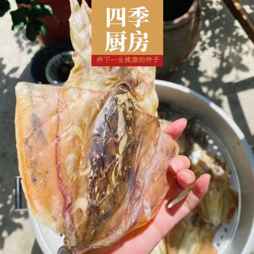 东海 野生滋补墨鱼 商品图4