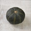 绿皮南瓜  Courgettes 商品缩略图0