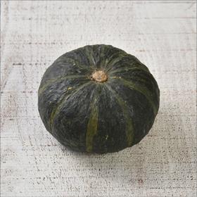 绿皮南瓜  Courgettes